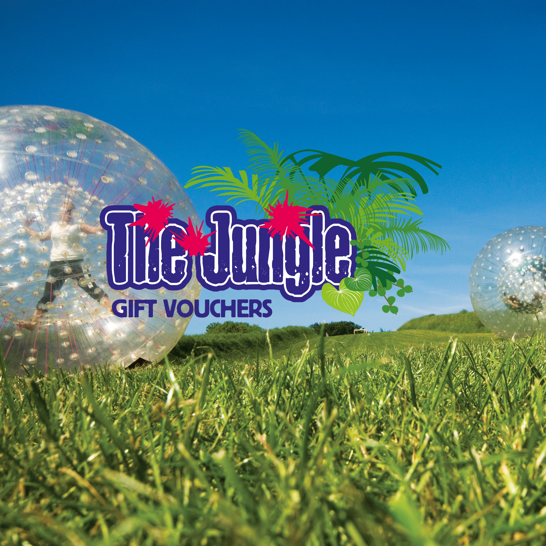 Jungle Gift Vouchers web Banner