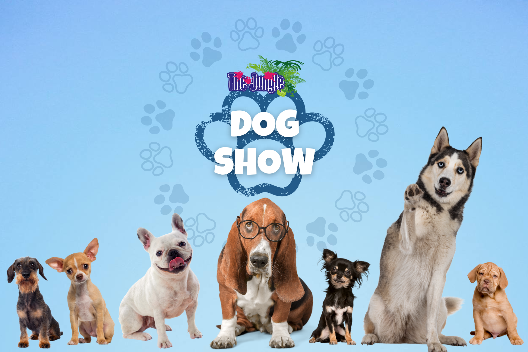 Dog Show webpage header background