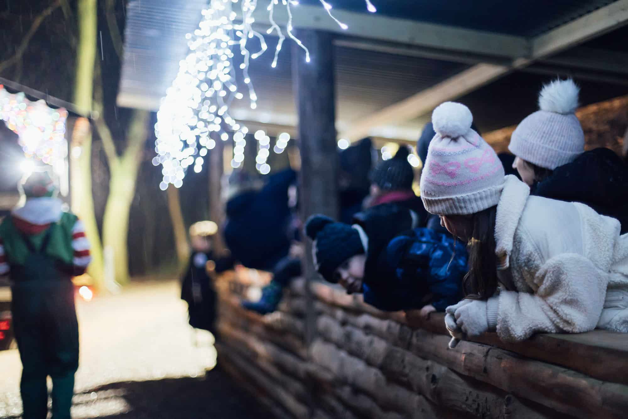 Jungle NI - Magical Christmas Wonderland - 30_11_2025 - Full Res-197_1